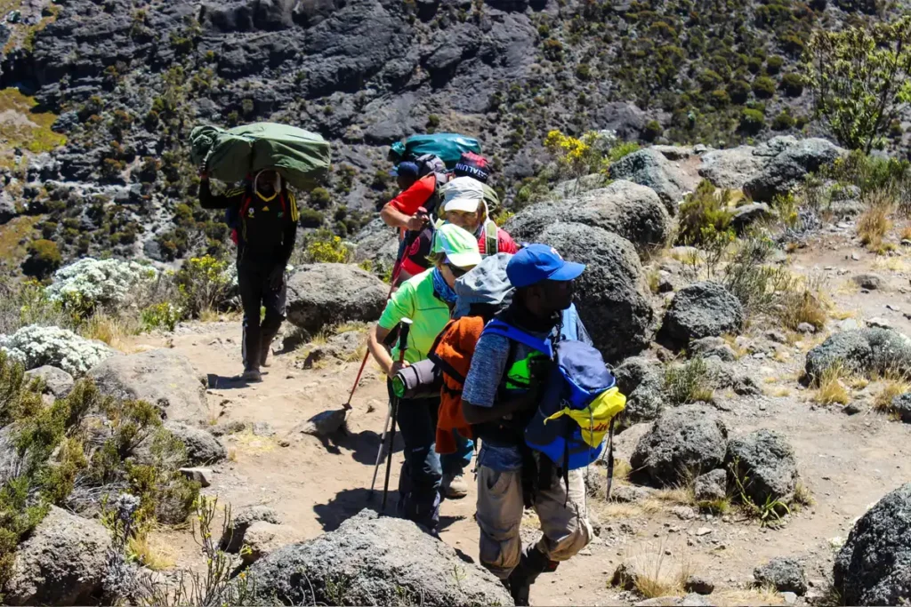 7 Days Lemosho Route Kilimanjaro Climbing