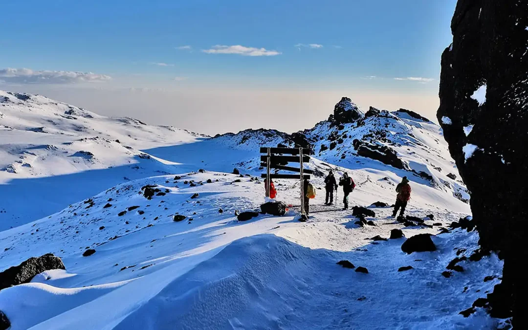 Overcoming Kilimanjaro Climbing Challenges: Tips and Advice